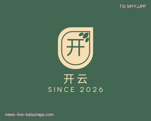关于开云世界杯
